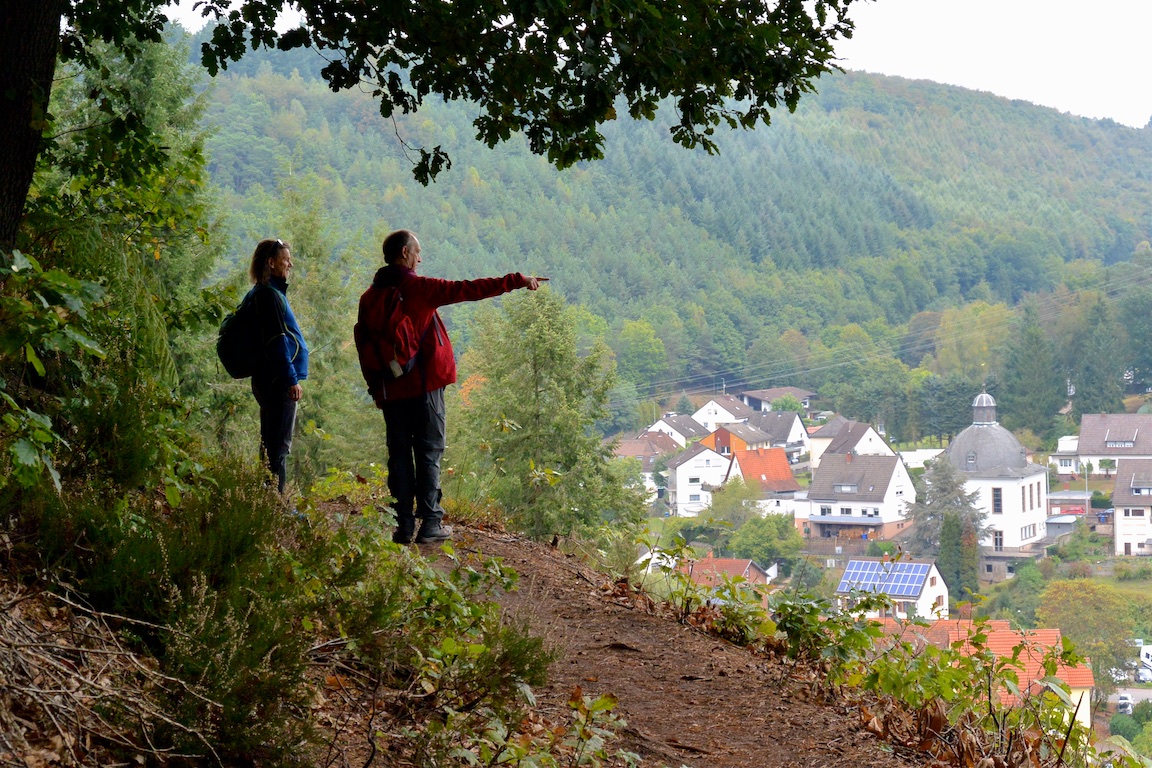 Pfaelzer Wald Oktober 2016 109