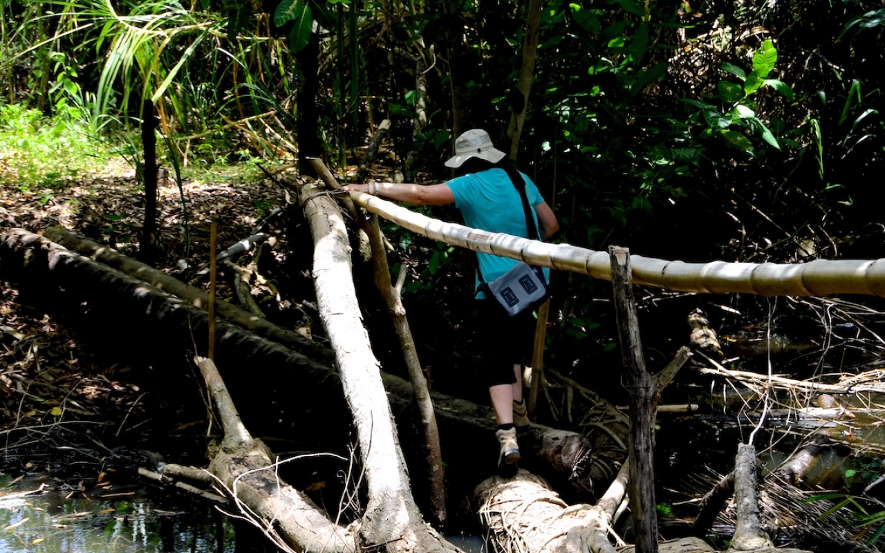 43 Kuba 2019 Rio Toa 1577